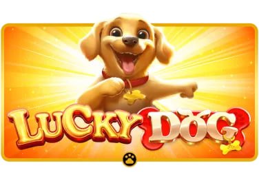 we1win sports betting and slots game lobby on mobile for Filipino players